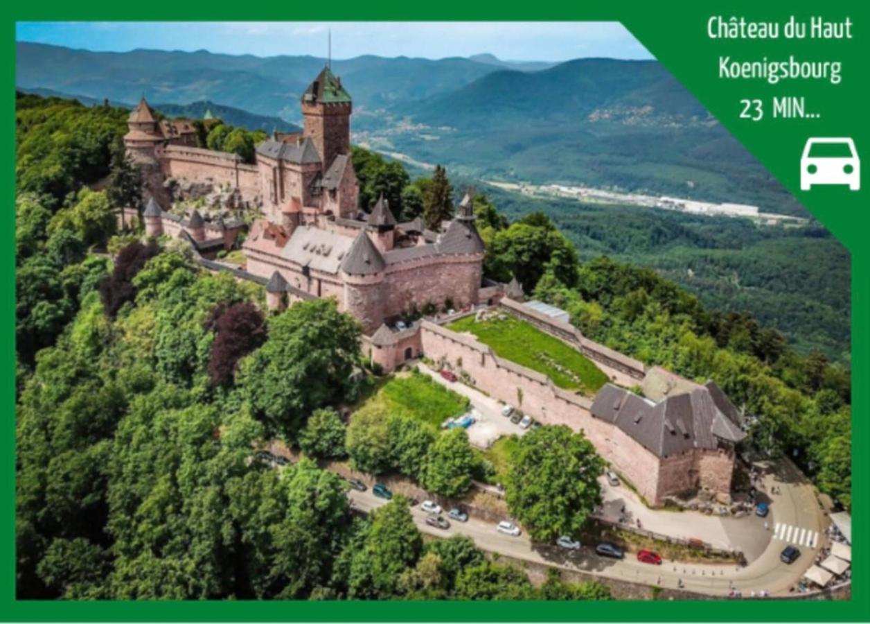 La Parenthese Alsacienne Au Coeur De Selestat Appartement Buitenkant foto