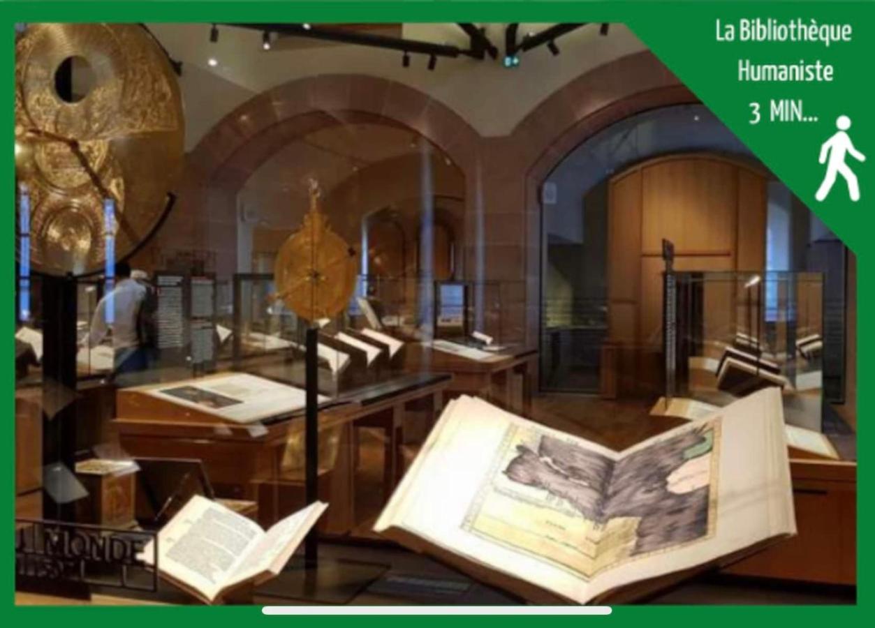La Parenthese Alsacienne Au Coeur De Selestat Appartement Buitenkant foto